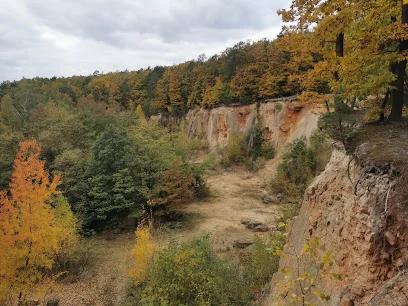 Góra Chełmska (Góra Zamkowa)
